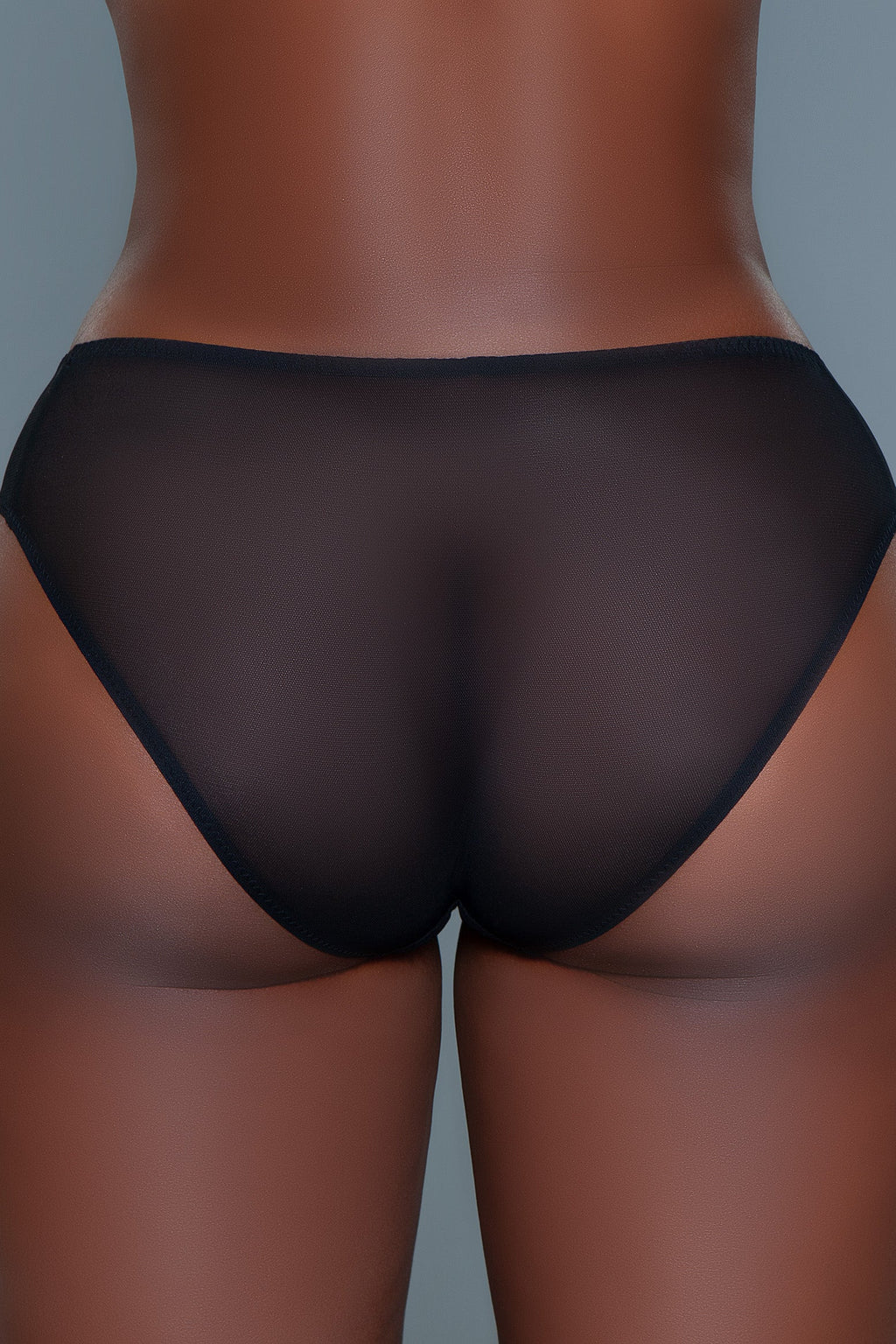2227B Nadine Panty-2